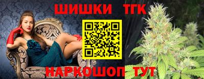 стафф Шелехов