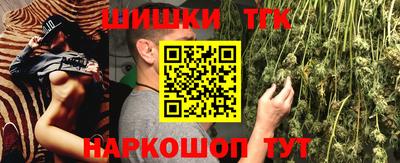 стафф Шелехов