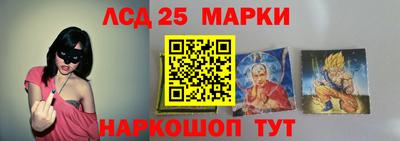 стафф Шелехов
