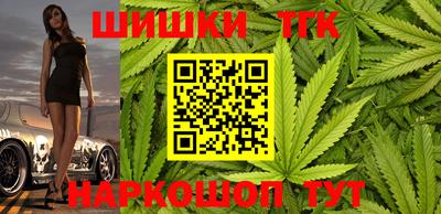 стафф Шелехов
