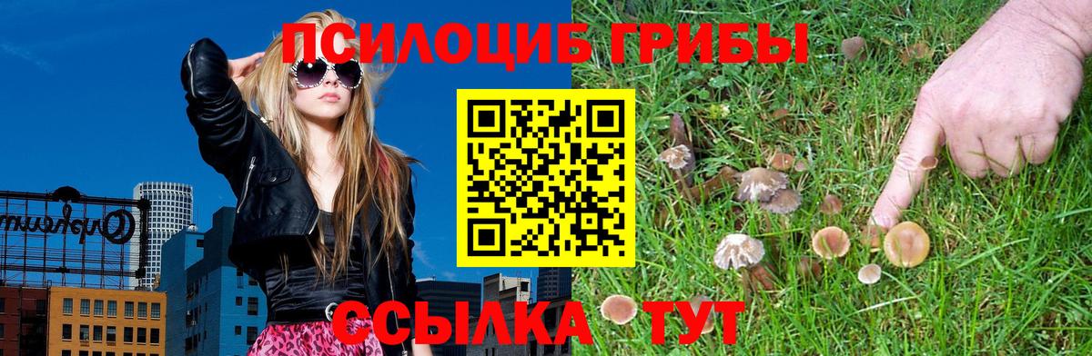 Ейск  Псилоцибиновые грибы Psilocybe  Вход с VPN  Галлюциногенные грибы GOLDEN TEACHER 