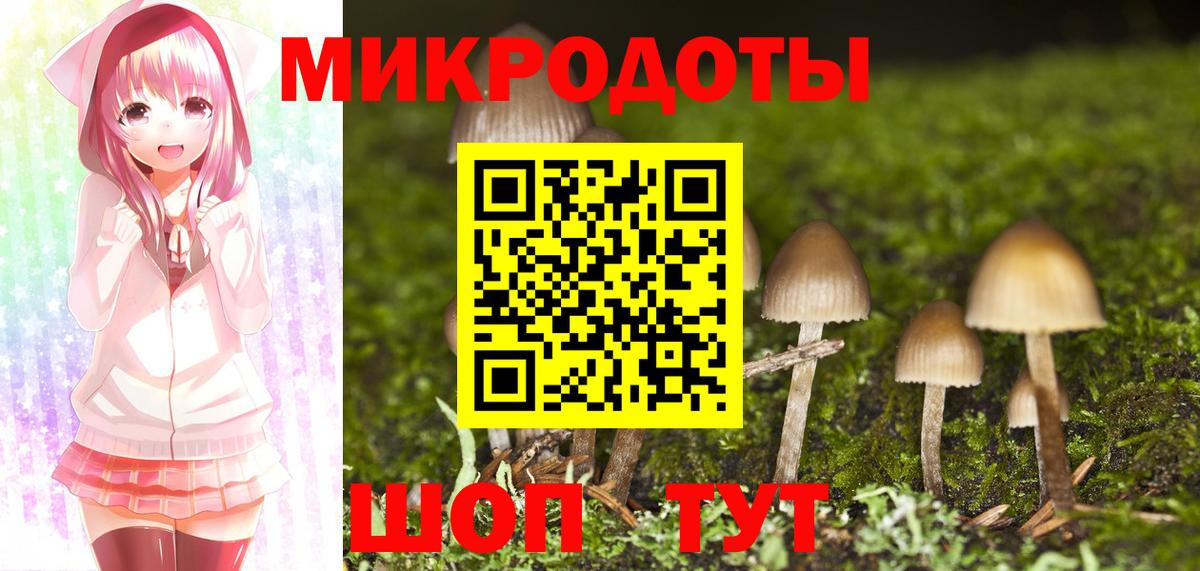 Галлюциногенные грибы прущие грибы Ейск